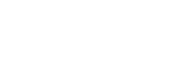 Wildes Owl Logo